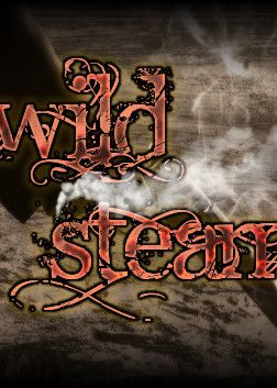 RPG Maker VX Ace - Wild Steam Resource Pack (DLC) (PC) Steam Key GLOBAL