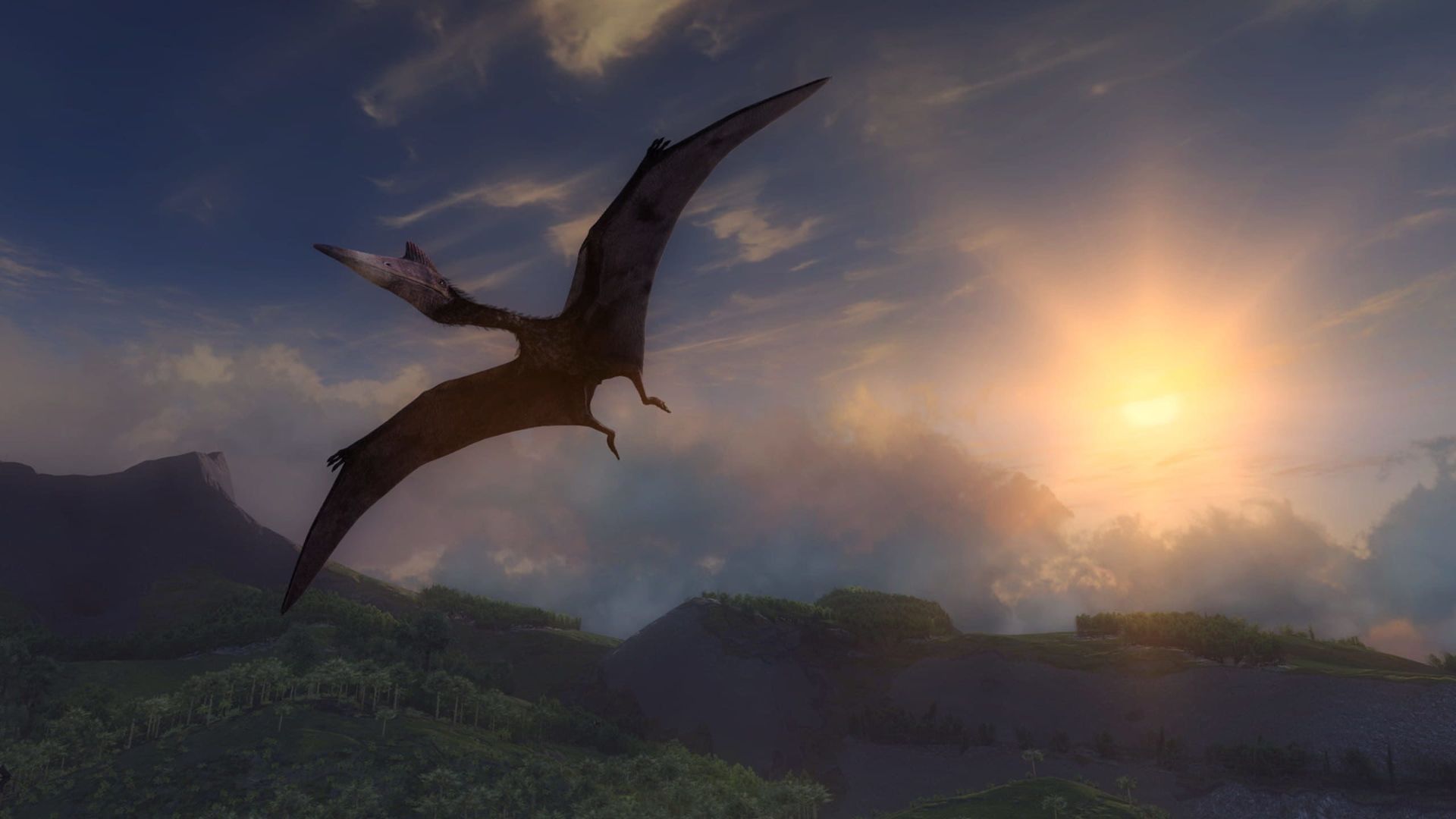 Captura 6