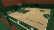 VR SHOOT AROUND - Rialistic basketball simulator -
