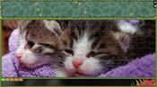 Pixel Puzzles Ultimate - Puzzle Pack: Cats (DLC) Steam Key EUROPE