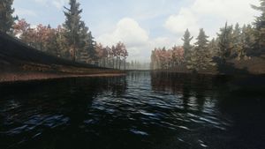 Infestation: New Z