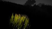 Turn Around Steam Key GLOBAL
