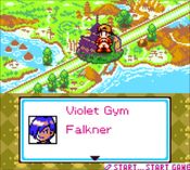 Pokémon Puzzle Challenge Game Boy Color