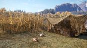 theHunter: Call of the Wild - Duck and Cover Pack (DLC) (PC) Steam Key GLOBAL for sale