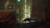 Stray (PC) Steam Key ROW for sale