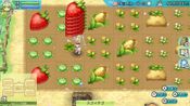 Buy Rune Factory 4 Special