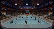 Buy Bush Hockey League