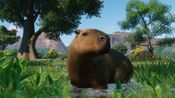 Planet Zoo: Wetlands Animal Pack (DLC) (PC) Steam Key GLOBAL