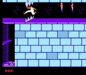 Redeem Prince of Persia (1989) Game Boy