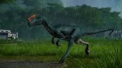 Redeem Jurassic World Evolution - Carnivore Dinosaur Pack (DLC) Steam Key GLOBAL