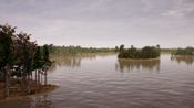 Bassmaster Fishing 2022: Jordan Lake (DLC) (PC) Steam Key GLOBAL