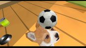 Get Puppy Doge VR