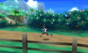 Buy Pokémon Moon