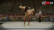 WWE 2K14 PlayStation 3 for sale