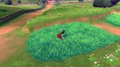 Get Pokemon Shield + Expansion Pass Nintendo Switch