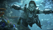 Horizon: Forbidden West (PS4/PS5) PSN Key UNITED STATES