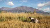 theHunter: Call of the Wild™ - German Shorthaired Pointer (DLC) Steam Key (PC) GLOBAL