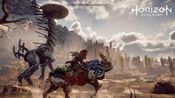 Buy Horizon Zero Dawn PlayStation 4
