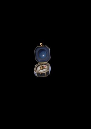 Fortnite - Jack's Compass Back Bling (DLC) Epic Games Key GLOBAL