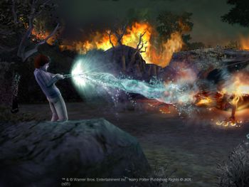 Buy Harry Potter and the Goblet of Fire PlayStation 2