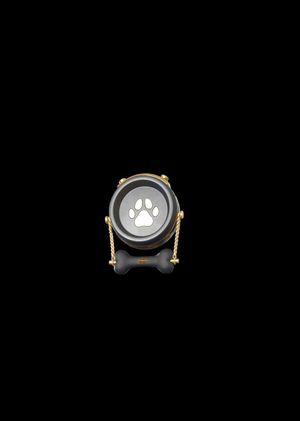 Fortnite - The Duke Classic Back Bling (DLC) Epic Games Key GLOBAL