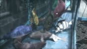 Buy PADAK (PC) Steam Key GLOBAL