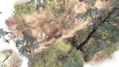 Paperbark for sale
