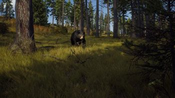 Buy Way of the Hunter PlayStation 5
