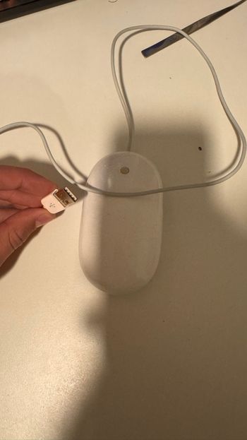 Buy Apple Mighty Mouse