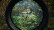 theHunter: Call of the Wild (Xbox One) Xbox Live Key UNITED STATES