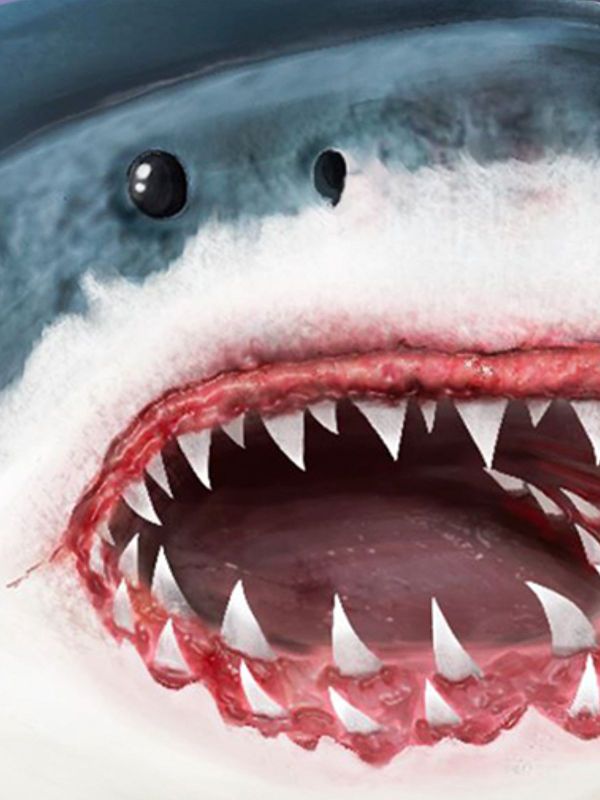 Get Ultimate Shark Simulator APK for free