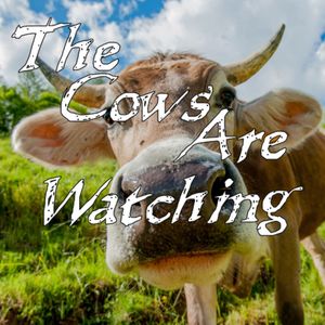 The Cows Are Watching