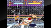 ACA NEOGEO WORLD HEROES