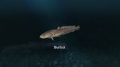Ultimate Fishing Simulator - New Fish Species (DLC) (PC)  Steam Key GLOBAL