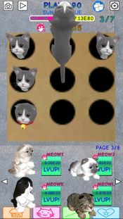 Get Play Kittens