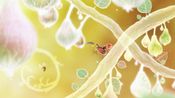 Redeem Botanicula Collector's Edition Steam Key GLOBAL