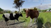 Professional Farmer: American Dream for sale