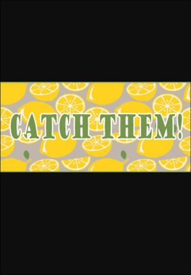 Catch them! game cover