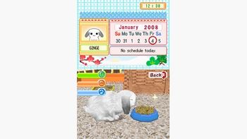 Get Petz Bunnyz Nintendo DS