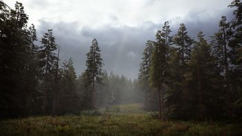 Hunting Simulator 2 PlayStation 4 for sale