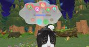 Konrad the Kitten - a virtual but real cat