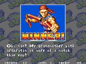 Get Fatal Fury Special PlayStation 4