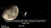 Dolphin Up for sale