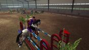 Get Riding Club Championships