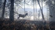 theHunter: Call of the Wild - Medved-Taiga (DLC) (PC) Steam Key GLOBAL