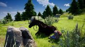 Get Windstorm / Ostwind - Ari's Arrival Steam Key GLOBAL