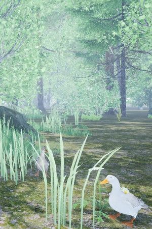 Duck Flight Simulator 2021 (PC) Steam Key GLOBAL