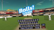 Balls! Virtual Reality Cricket for sale