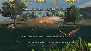 Trophy Trout