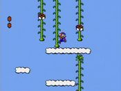 Redeem Super Mario Bros. 2 NES